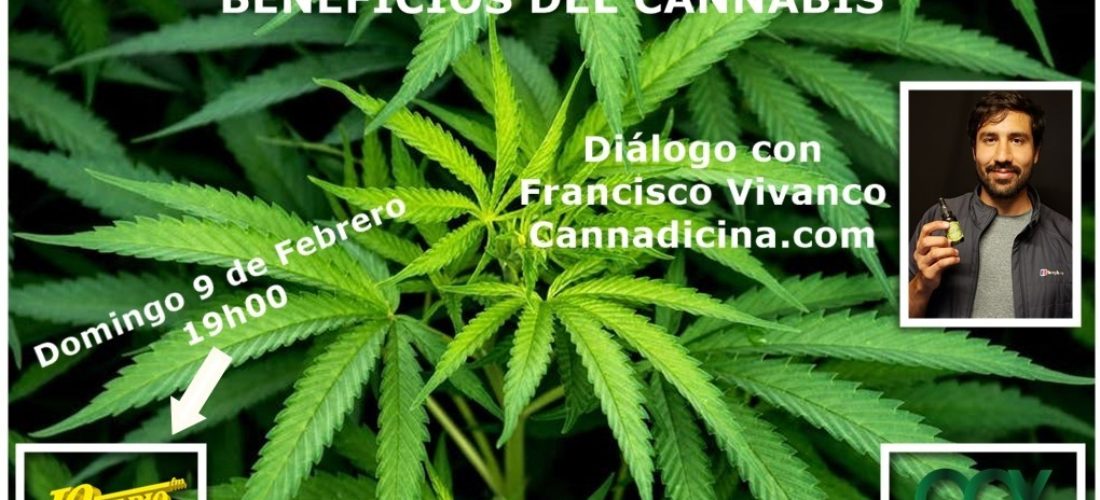 Beneficios del Cannabis con Francisco Vivanco